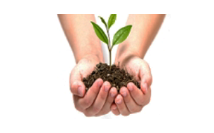 自費診療のご案内